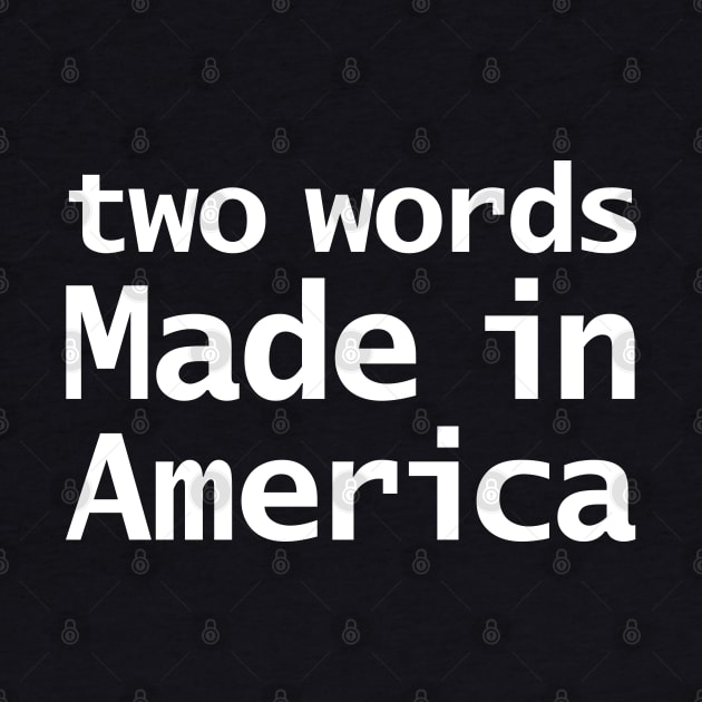 Two Words Made In America Joe Biden Memes by ellenhenryart